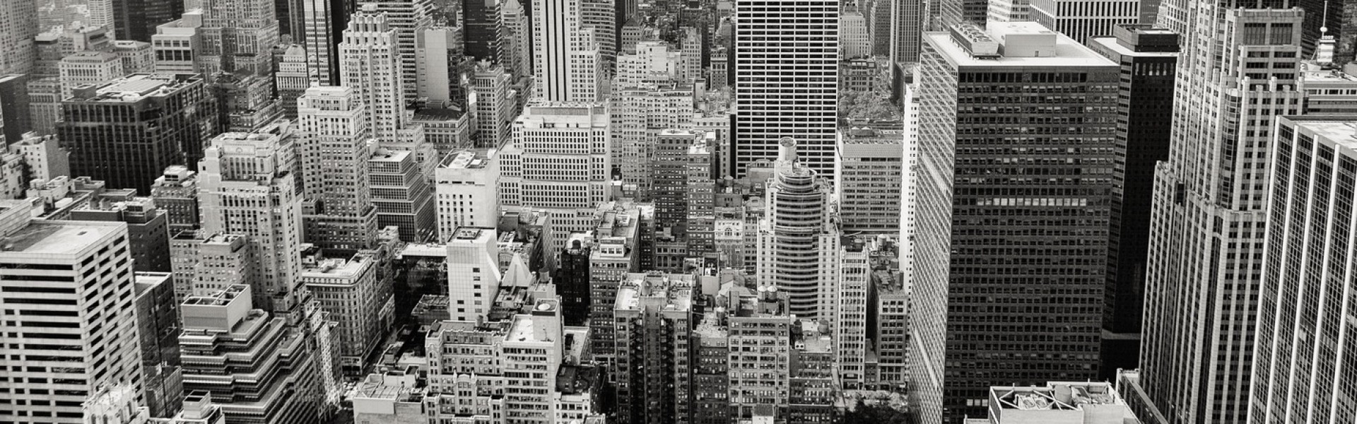 Australian Insurance Professionals