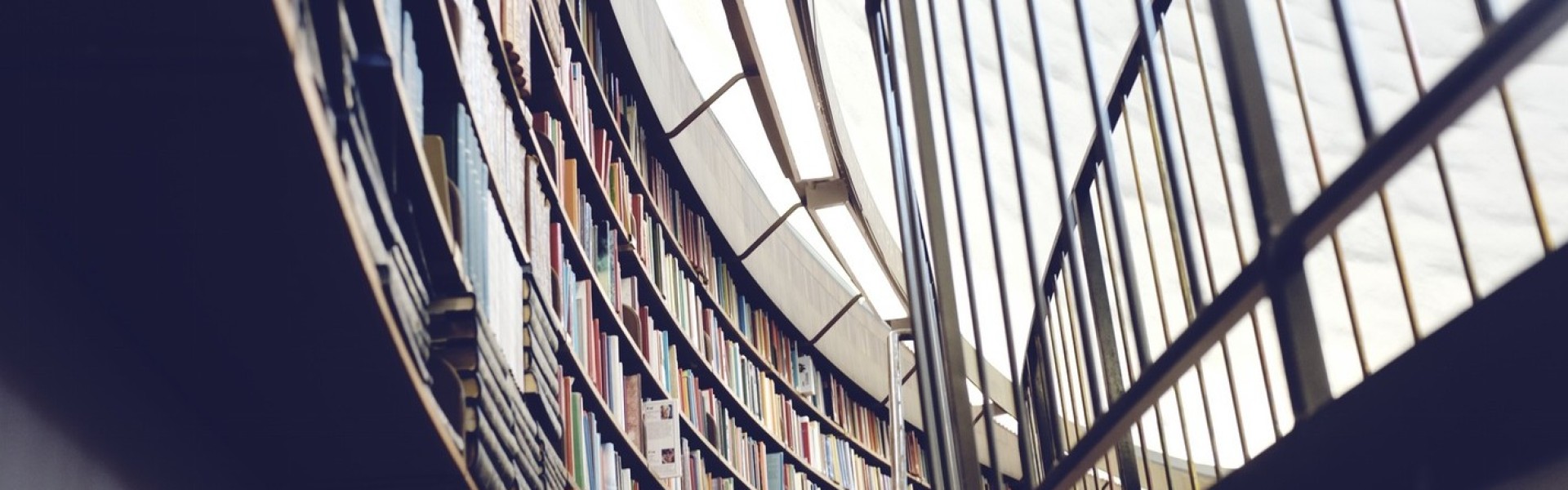 Australian Insurance Professionals